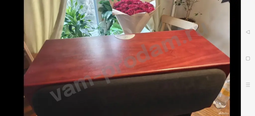 monitor audio silver-rs lsr