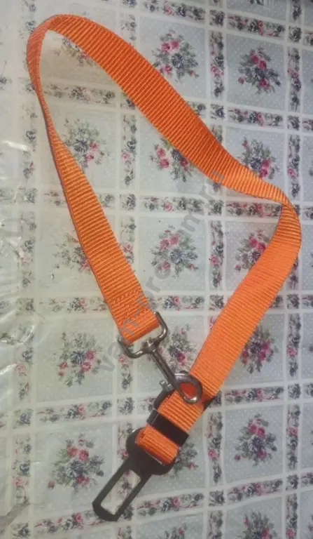 Ремень безопасности в авто для собак и кошек