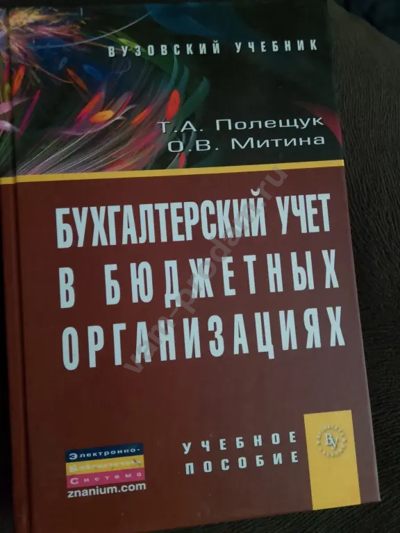 Книга Бухгалтерский учёт в бюджетных организациях