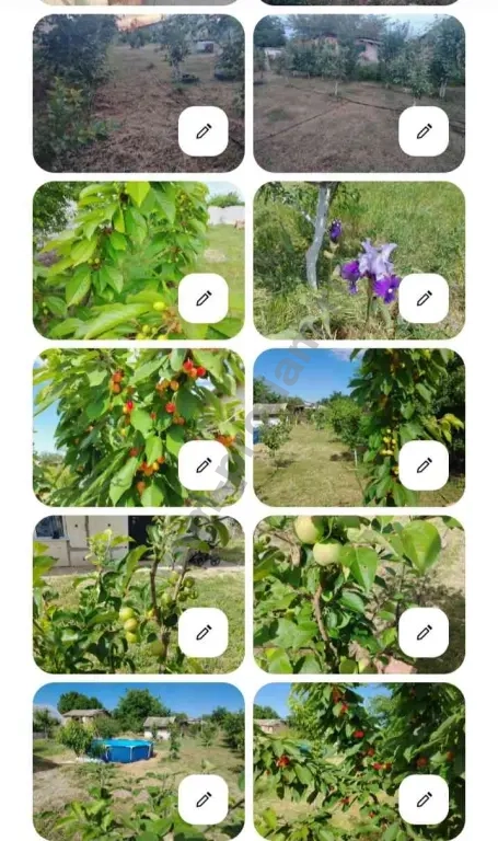 Дом 65 м² на участке 8 сот., Поселений (ИЖС)