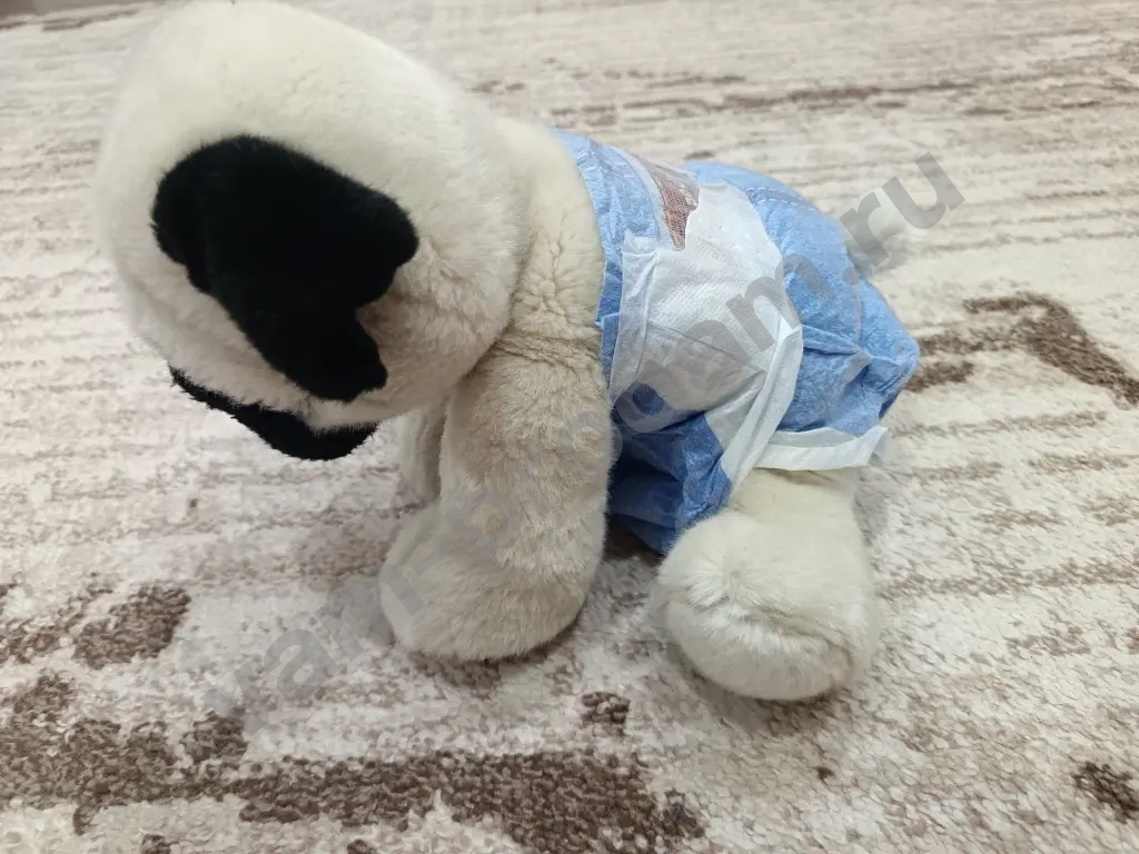 Памперсы для собак