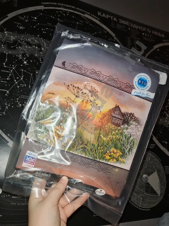 Набор для вышивки "Сквозь паутинку"