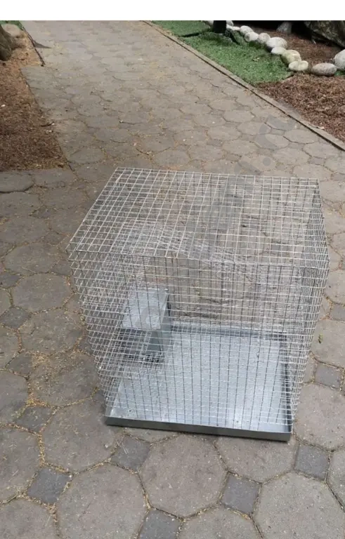 Большие Клетки