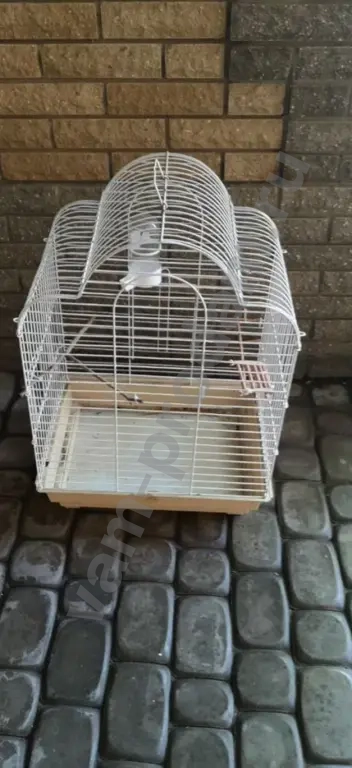 Большие Клетки