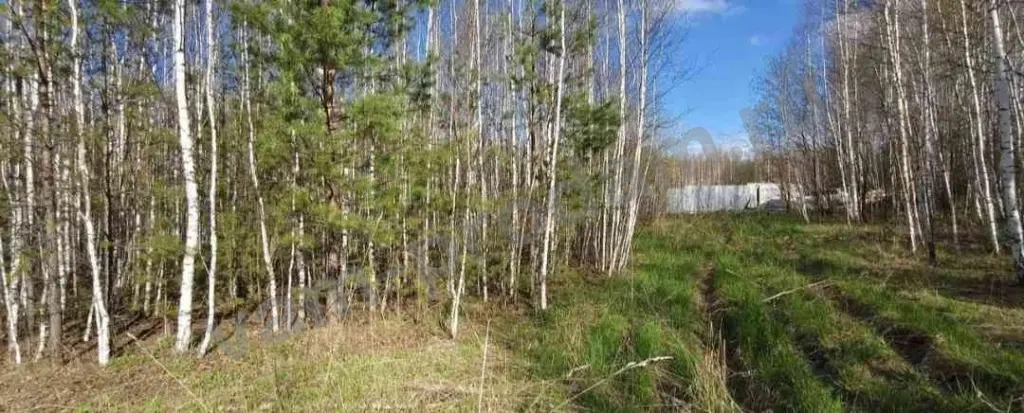 Участок 12 сот. Сельхозназначения (СНТ, ДНП)