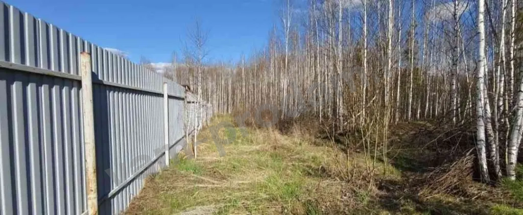 Участок 12 сот. Сельхозназначения (СНТ, ДНП)