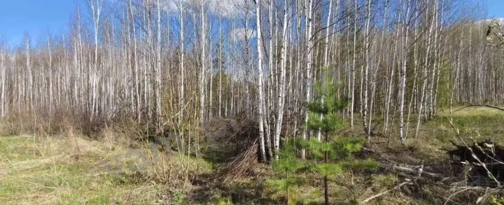 Участок 12 сот. Сельхозназначения (СНТ, ДНП)