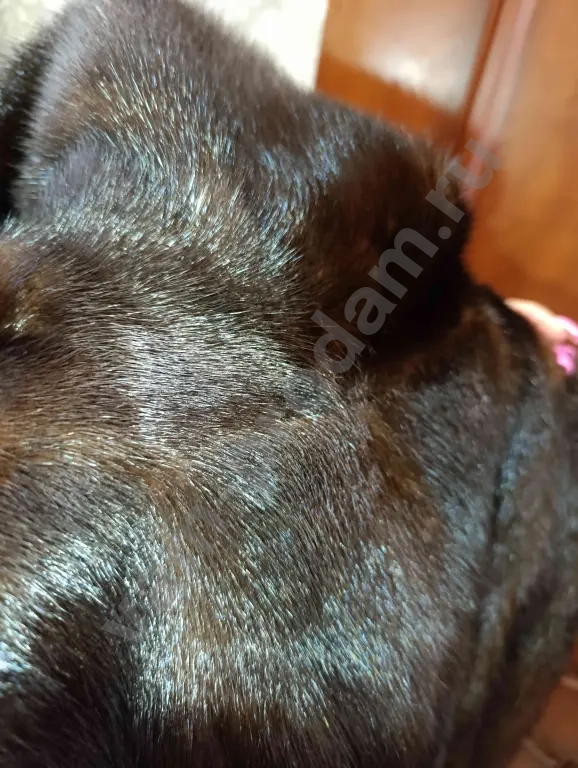 норковая шуба 44-46-48-50