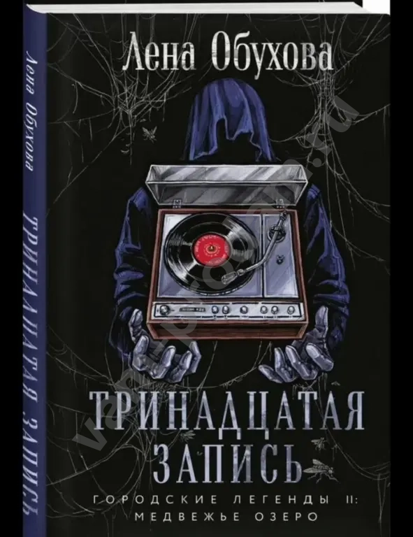 Тринадцатая запись