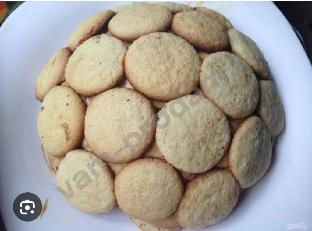 коржи для всех видов торта