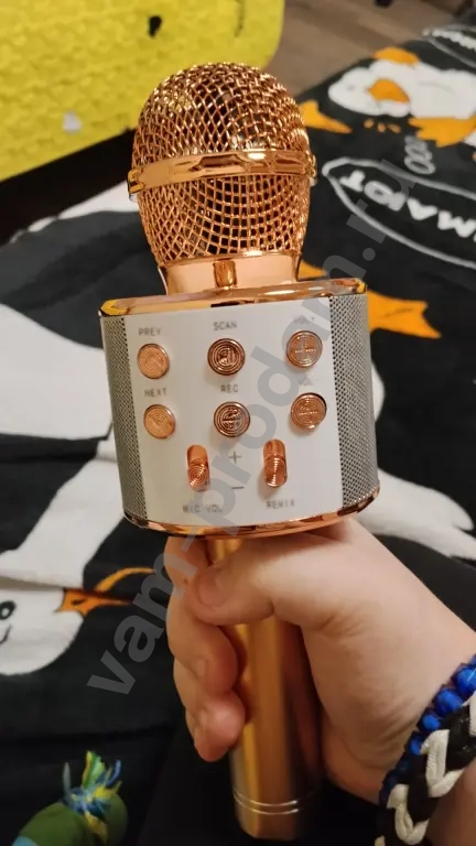 Микрофон Колонка