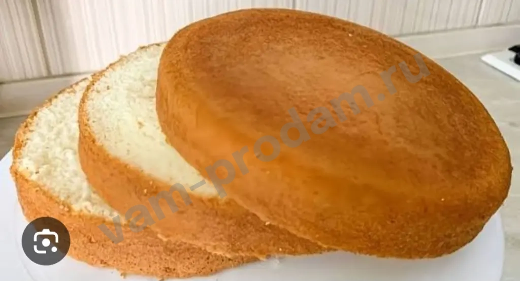 коржи для всех видов торта