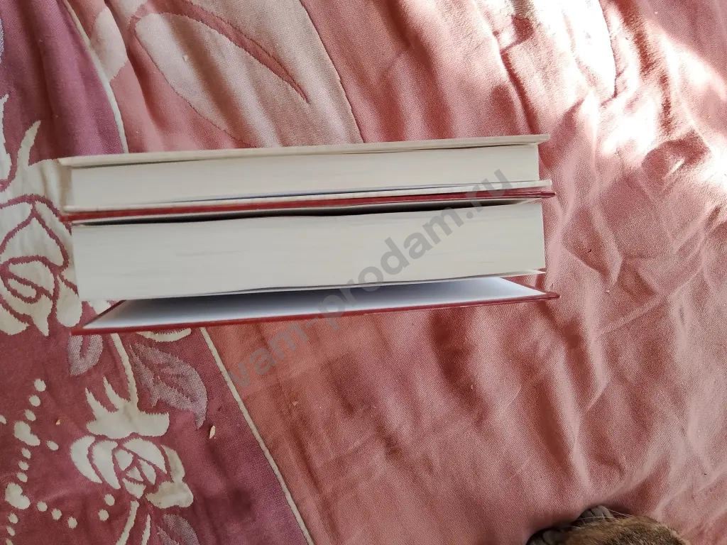 Ангел Разиэля 1-2тт