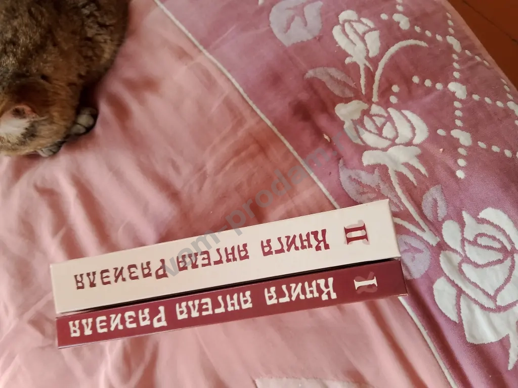 Ангел Разиэля 1-2тт