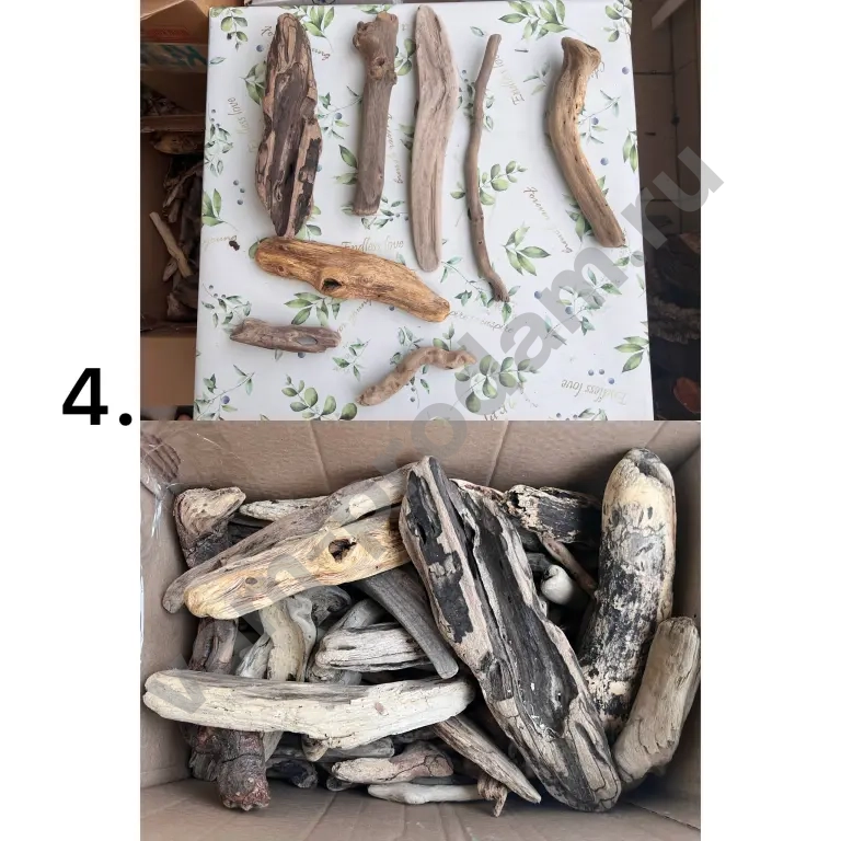 дрифтвуд, морские коряги