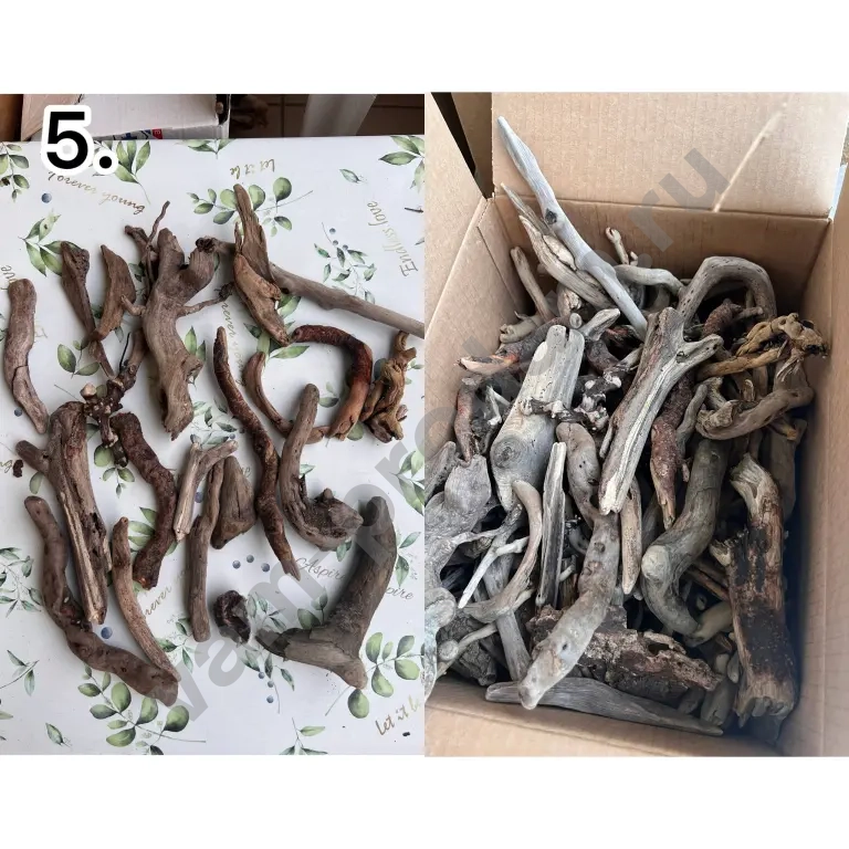 дрифтвуд, морские коряги