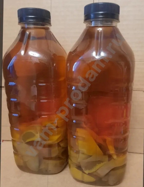 Гриб Веселка