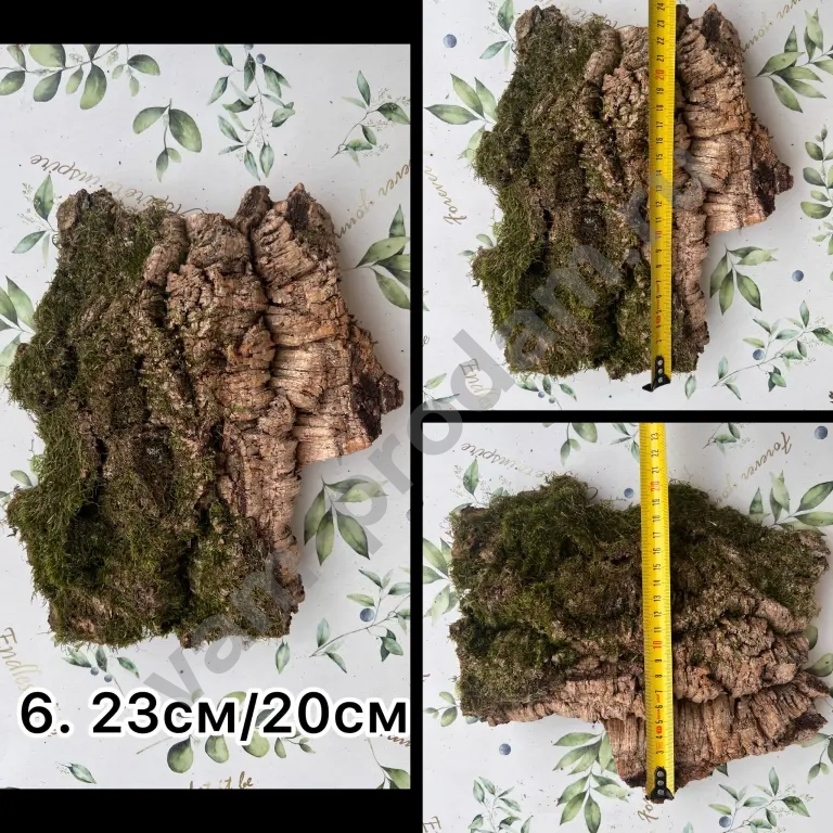 Кора пробкового дуба