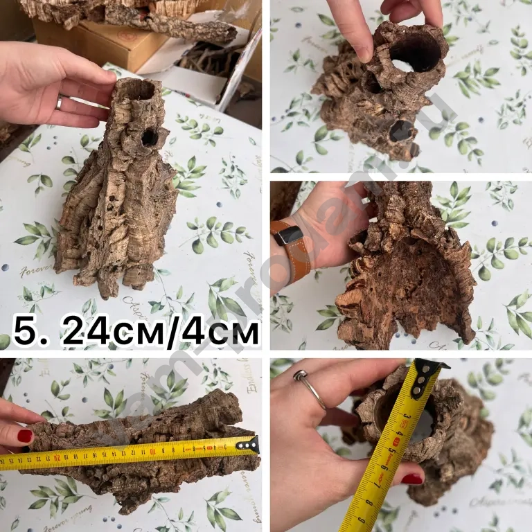 Кора пробкового дуба