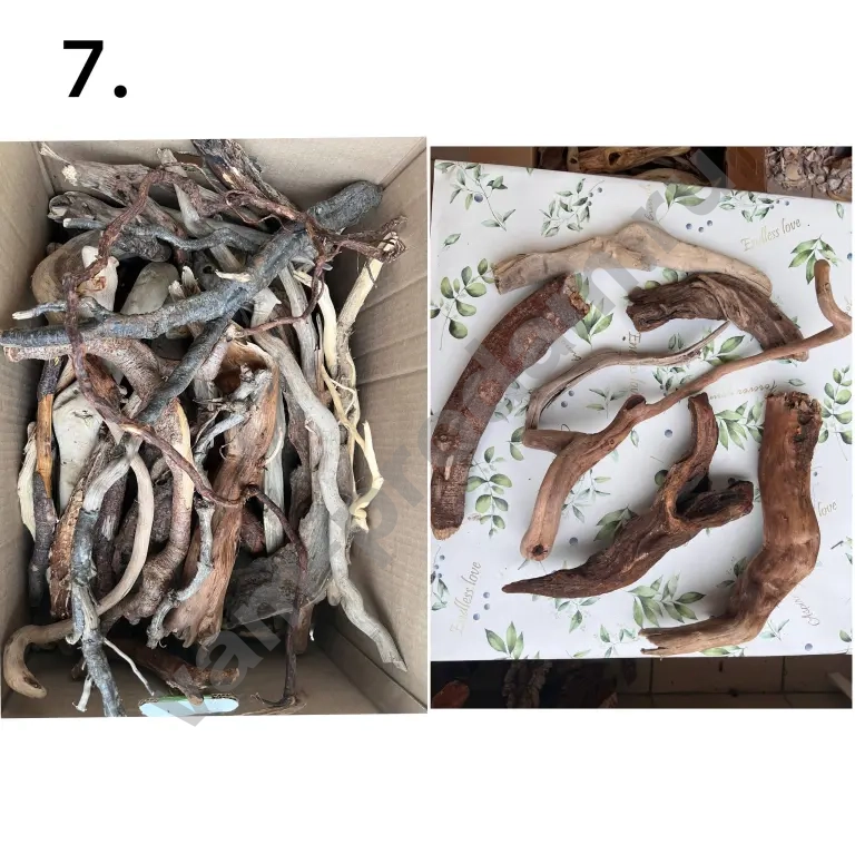 дрифтвуд, морские коряги