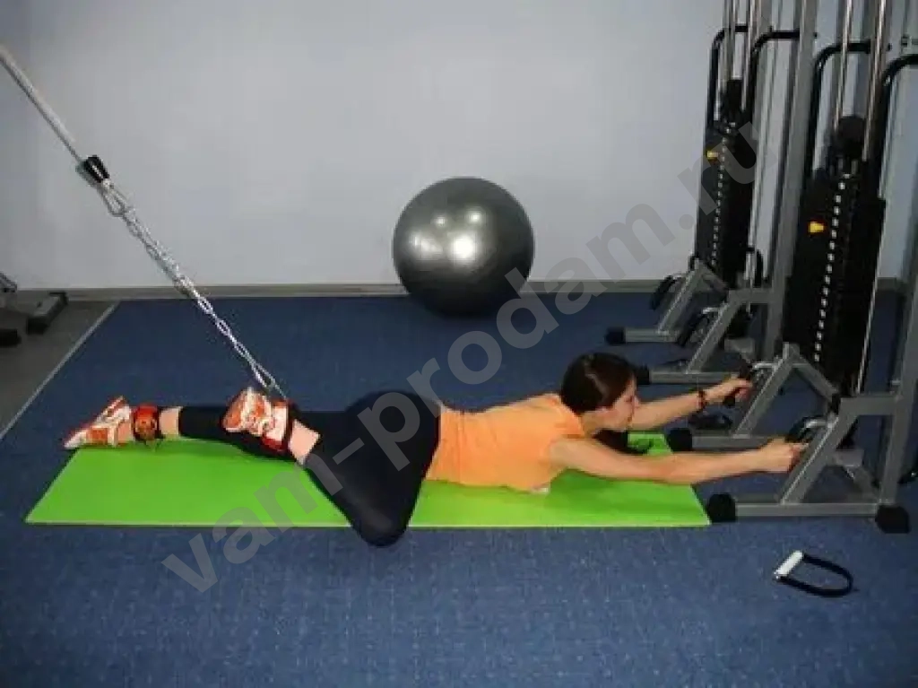 тренер и инструктор лфк