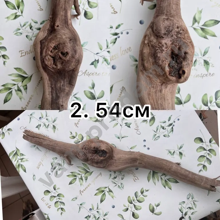 дрифтвуд, морские коряги