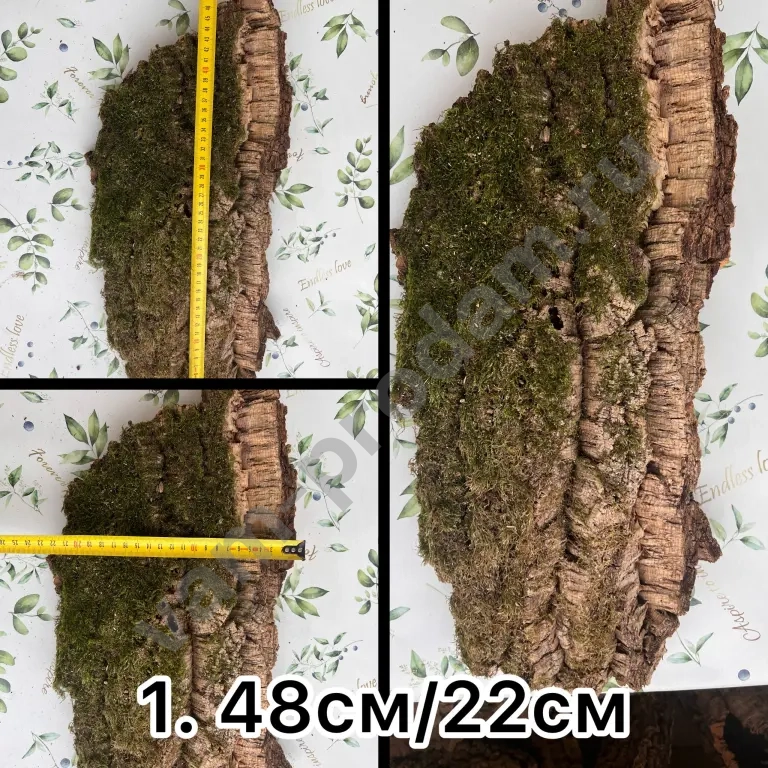 Кора пробкового дуба