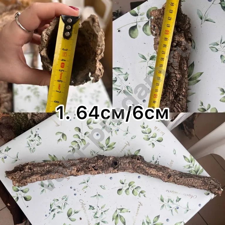 Цилиндр коры пробкового дуба