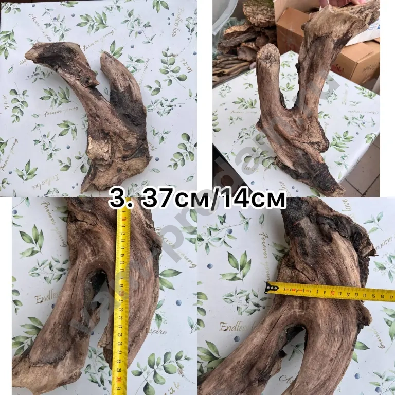 дрифтвуд, морские коряги