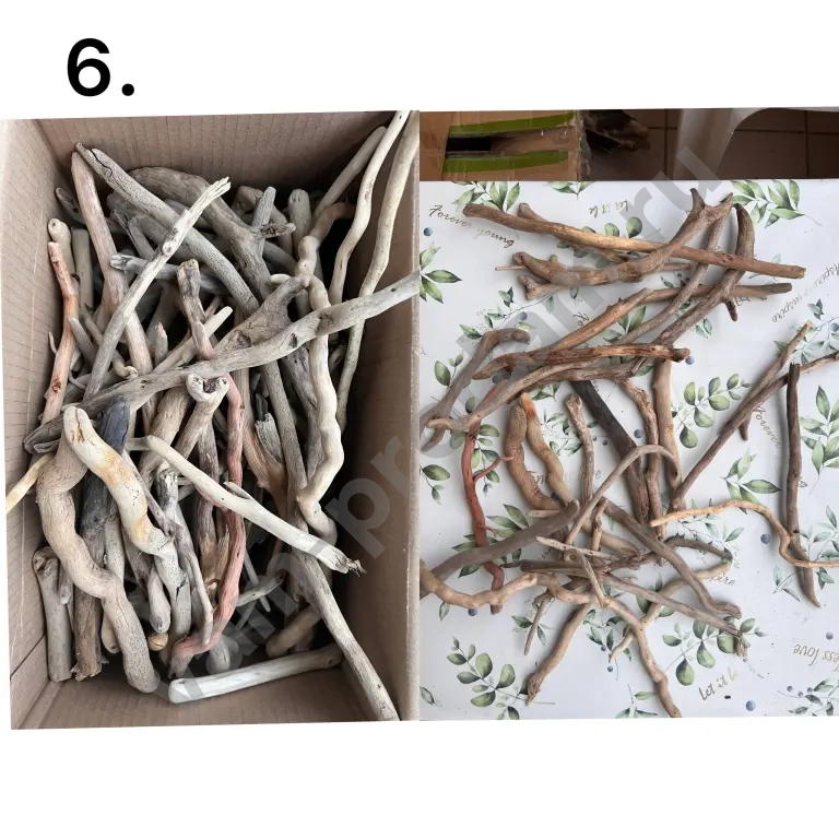 дрифтвуд, морские коряги