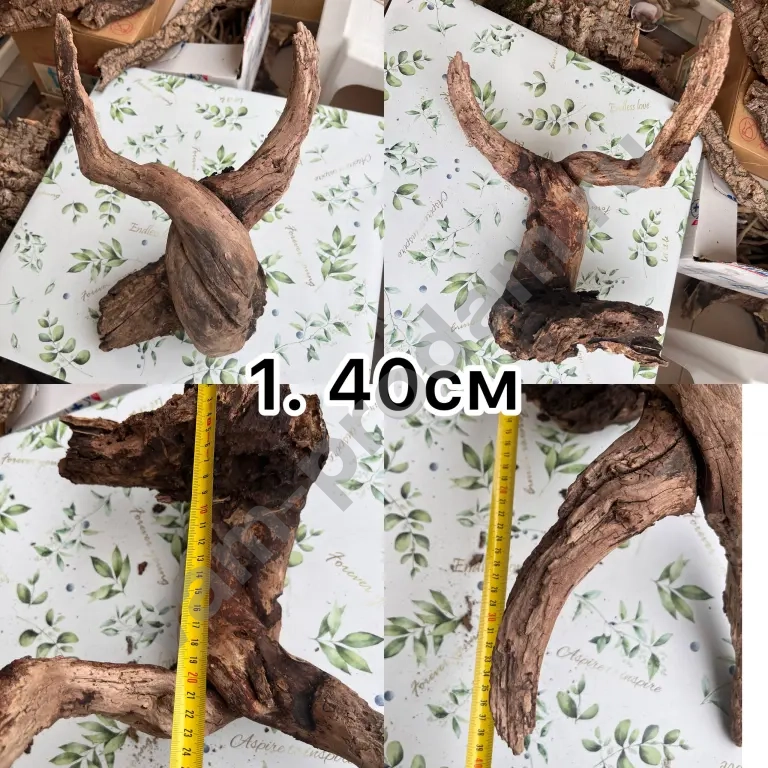 дрифтвуд, морские коряги