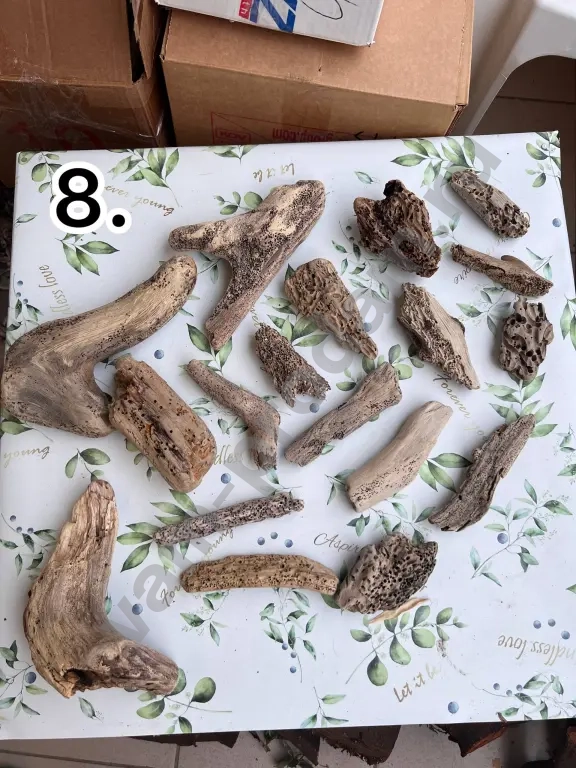 дрифтвуд, морские коряги