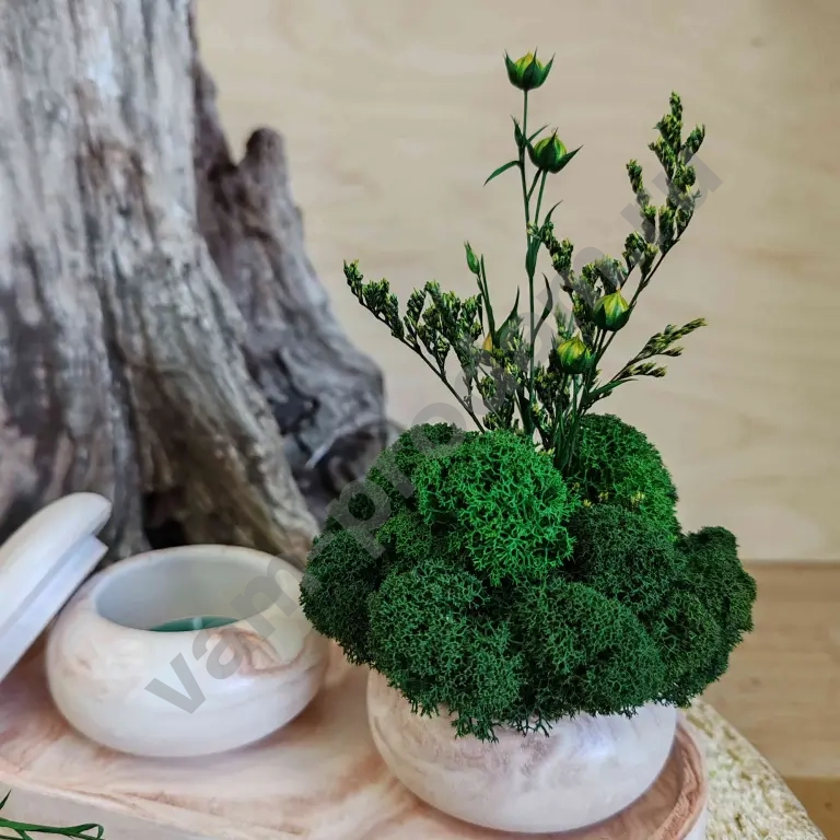 Набор комплимент мини кашпо со стабилизированным мхом и подсвечник со свечей на декоративной тарелочке