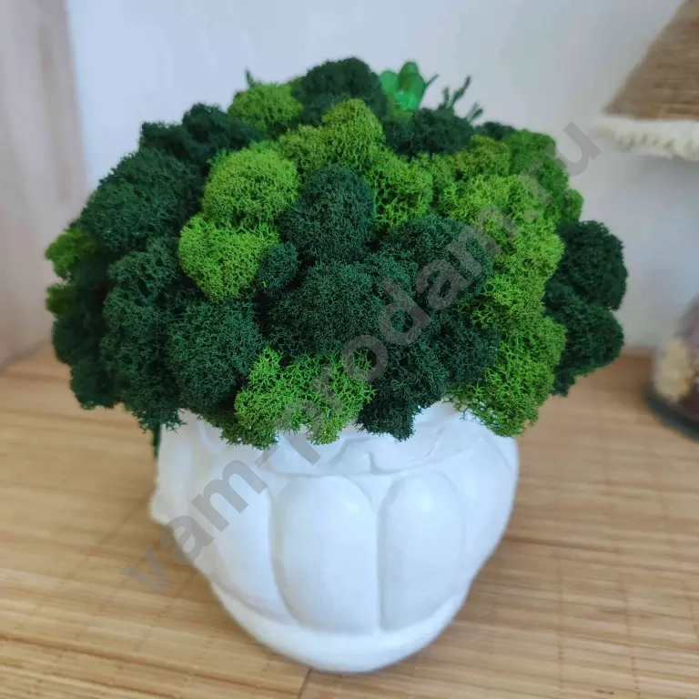 Композиция *Ангел, несущий уют* из стабилизированных роз, мха и других растений