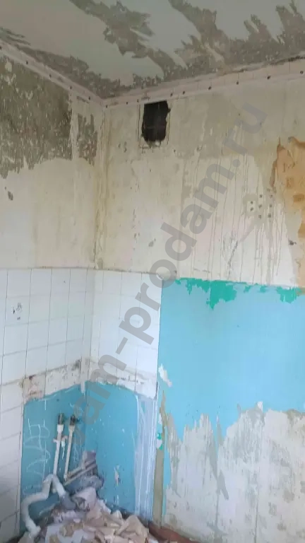 Грузчики. Переезды, уборка снега.