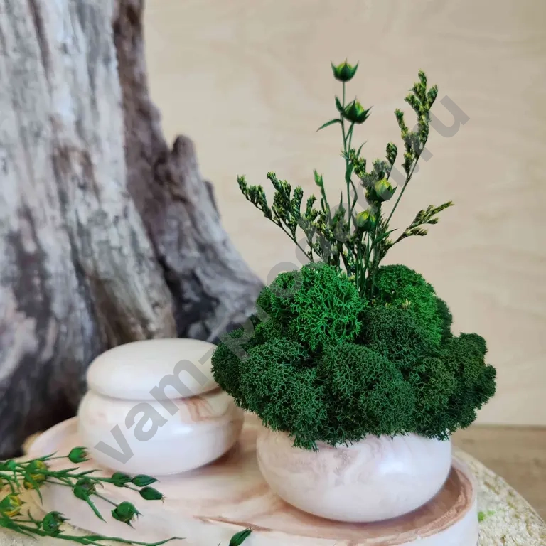 Набор комплимент мини кашпо со стабилизированным мхом и подсвечник со свечей на декоративной тарелочке
