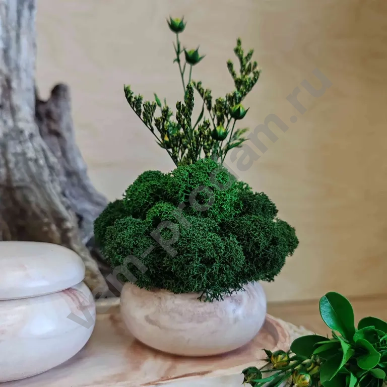 Набор комплимент мини кашпо со стабилизированным мхом и подсвечник со свечей на декоративной тарелочке