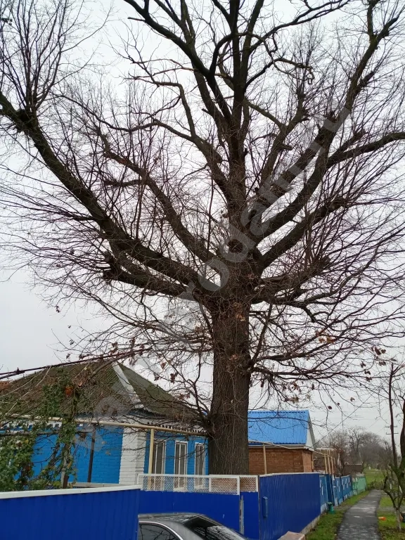 Слом домов,Покос травы,Спил деревьев,Расчистка участка