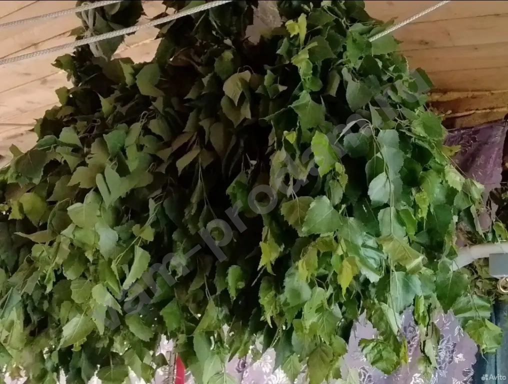 веник берёзовый для бани