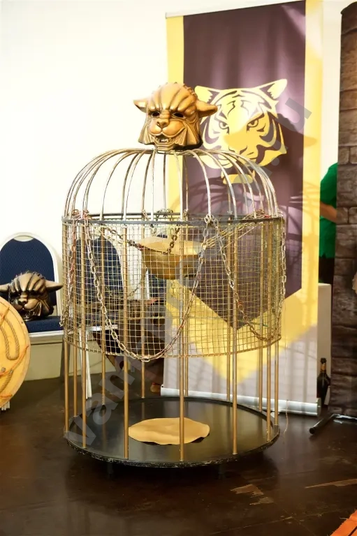 Выездной большой квест Форт Боярд на праздник