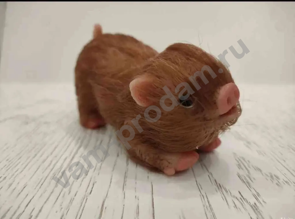 Свинка реборн,мини пиг