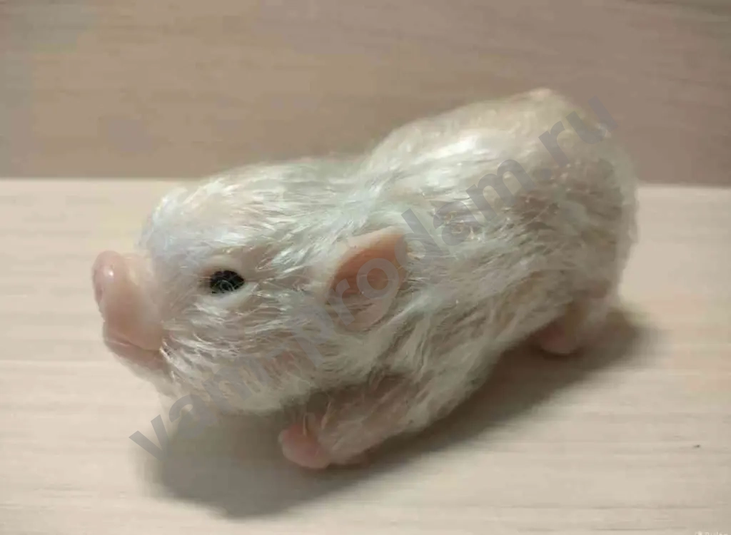 Свинка реборн,мини пиг