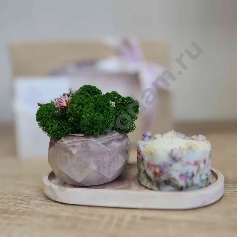 Подарочный набор "Уют" декоративное кашпо со стабилизированными растениями, ботаническая свеча и конфеты ручной работы