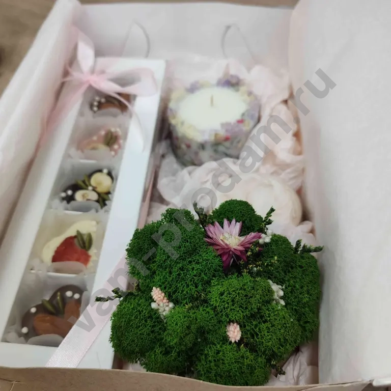 Подарочный набор "Уют" декоративное кашпо со стабилизированными растениями, ботаническая свеча и конфеты ручной работы