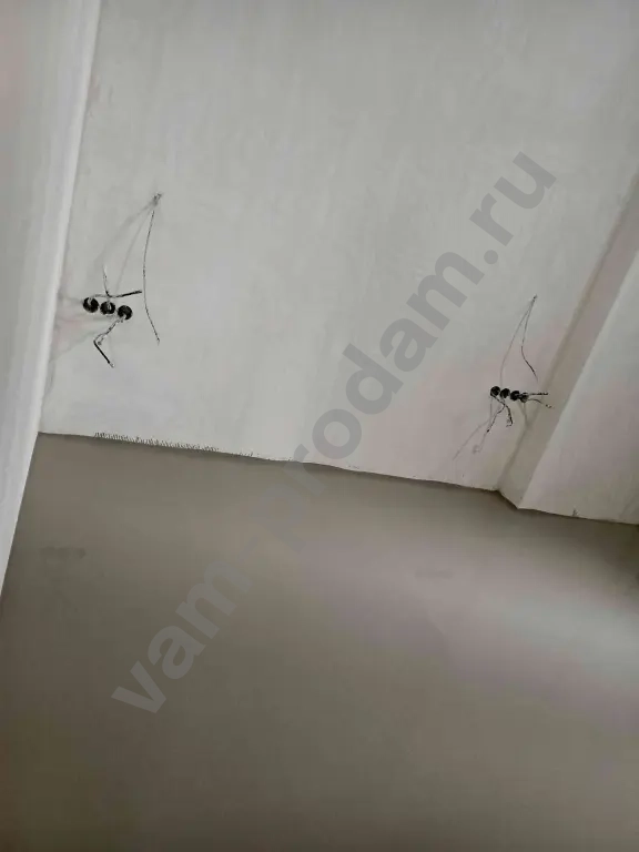 Наливной пол за 24 часа. Чисто и быстро