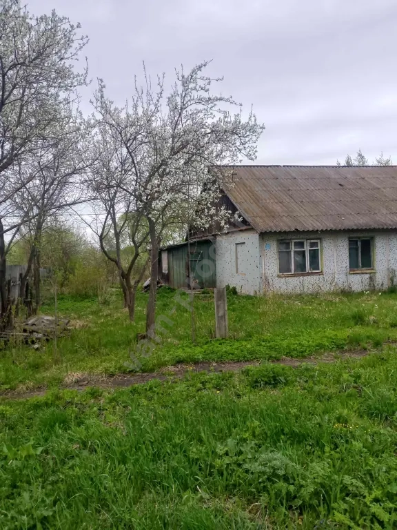 4-к. квартира, 68 м², 1/11 эт.