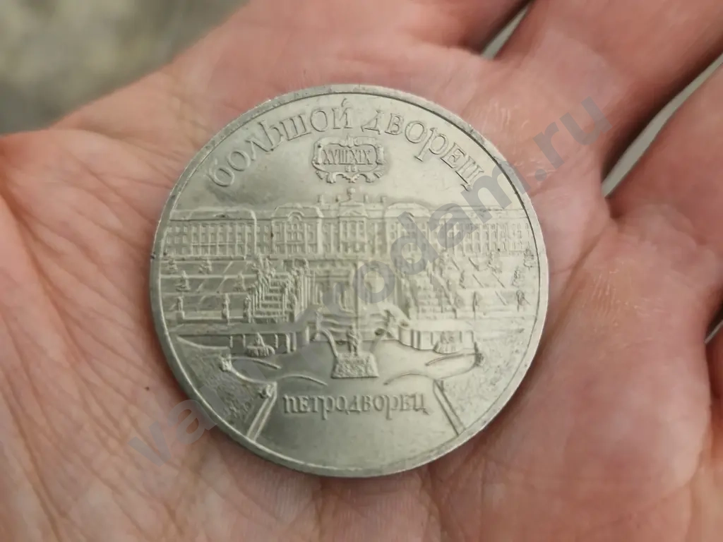 Оценка и выкуп монет