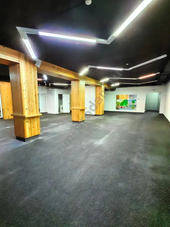 Помещение свободного назначения, 250 м², Собственник