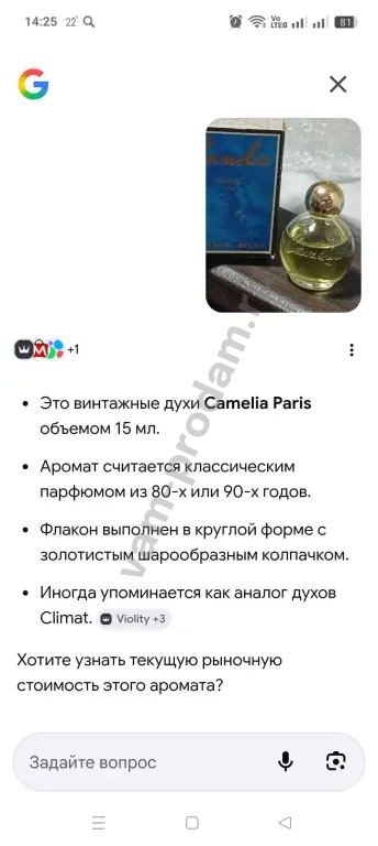 Camelia