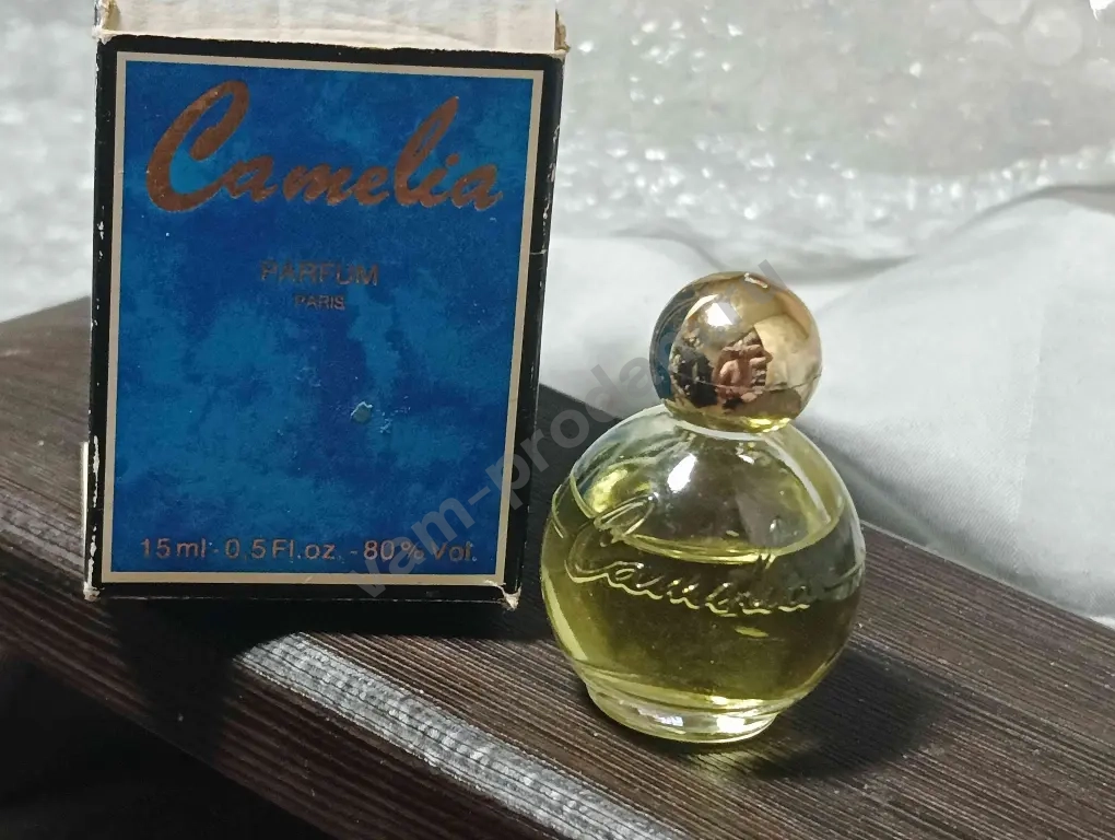Camelia